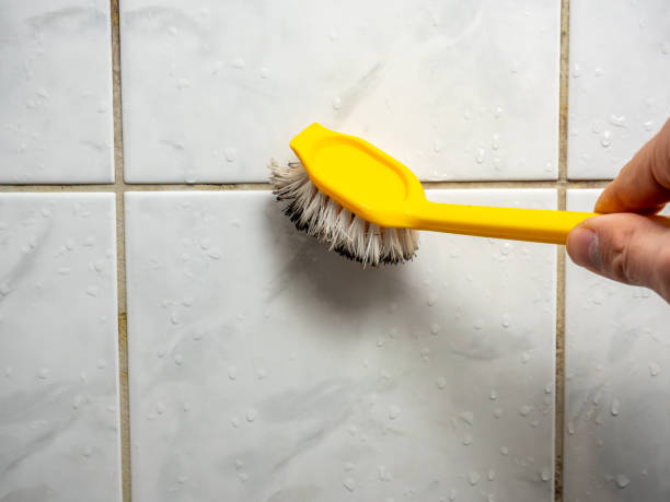  Bristol, IN Mold Removal Pros