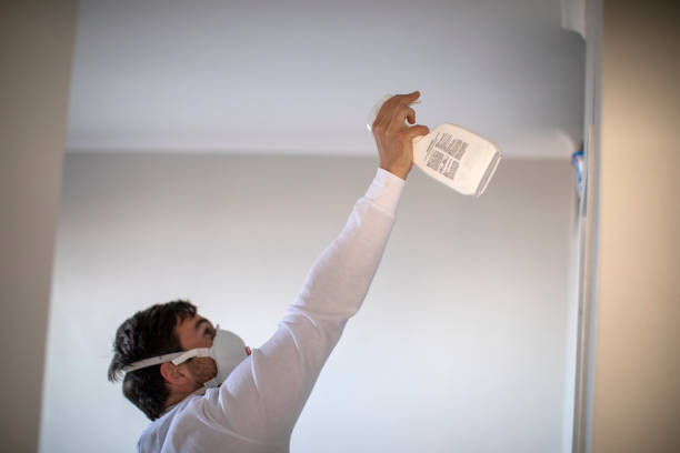 Trusted Bristol, IN Mold Removal Experts